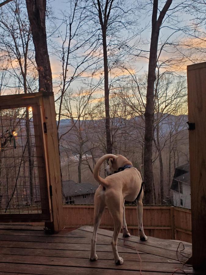 Treehouse Cathedral In Blue Ridge Mountains, Nc Villa Burnsville Exterior photo