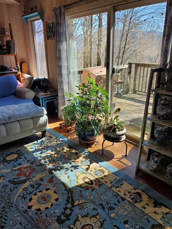 Treehouse Cathedral In Blue Ridge Mountains, Nc Villa Burnsville Exterior photo